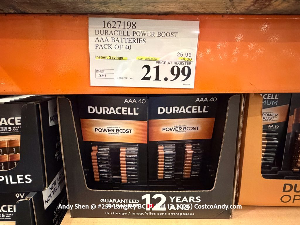 DURACELL POWER BOOST AAA BATTERIES PACK OF 40