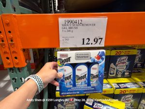 SHOUT STAIN REMOVER GEL BRUSH 3X246G