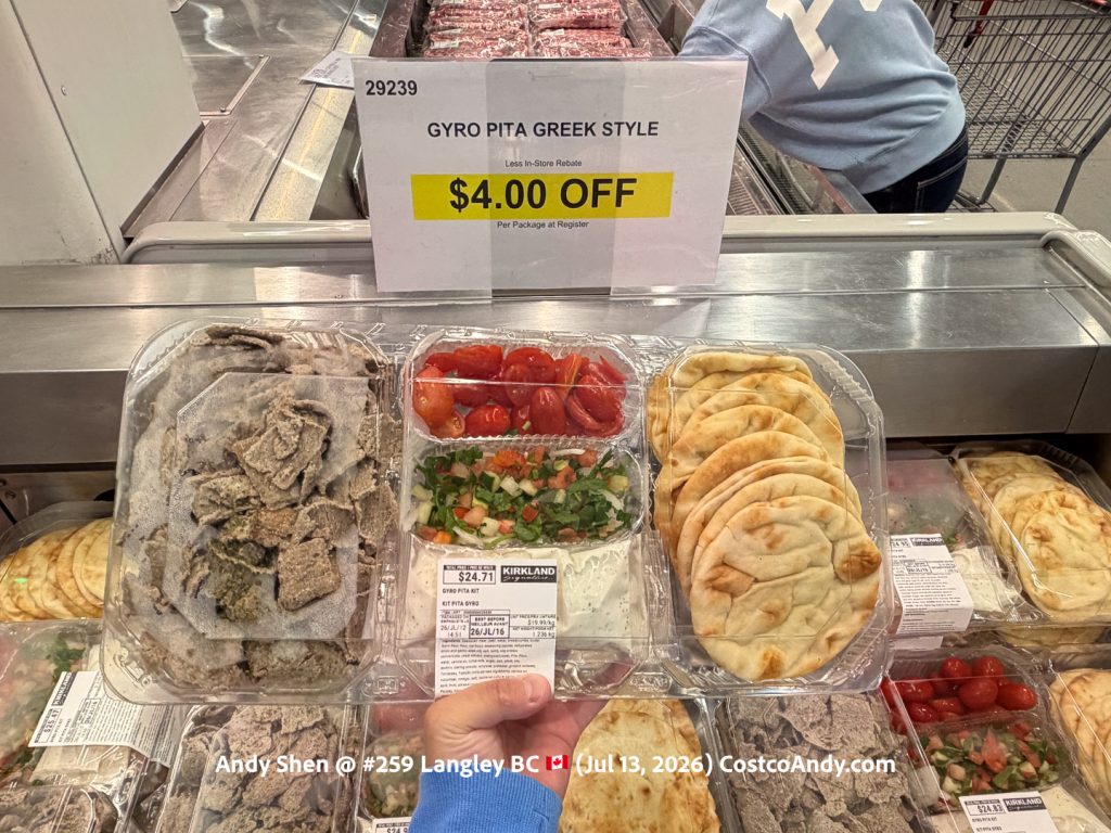 GYRO PITA GREEK STYLE