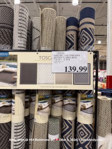 GERMANIAN TOSCANA OUTDOOR AREA RUG