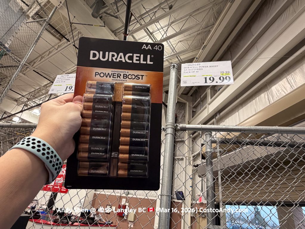 DURACELL POWER BOOST AA BATTERIES PACK OF 40