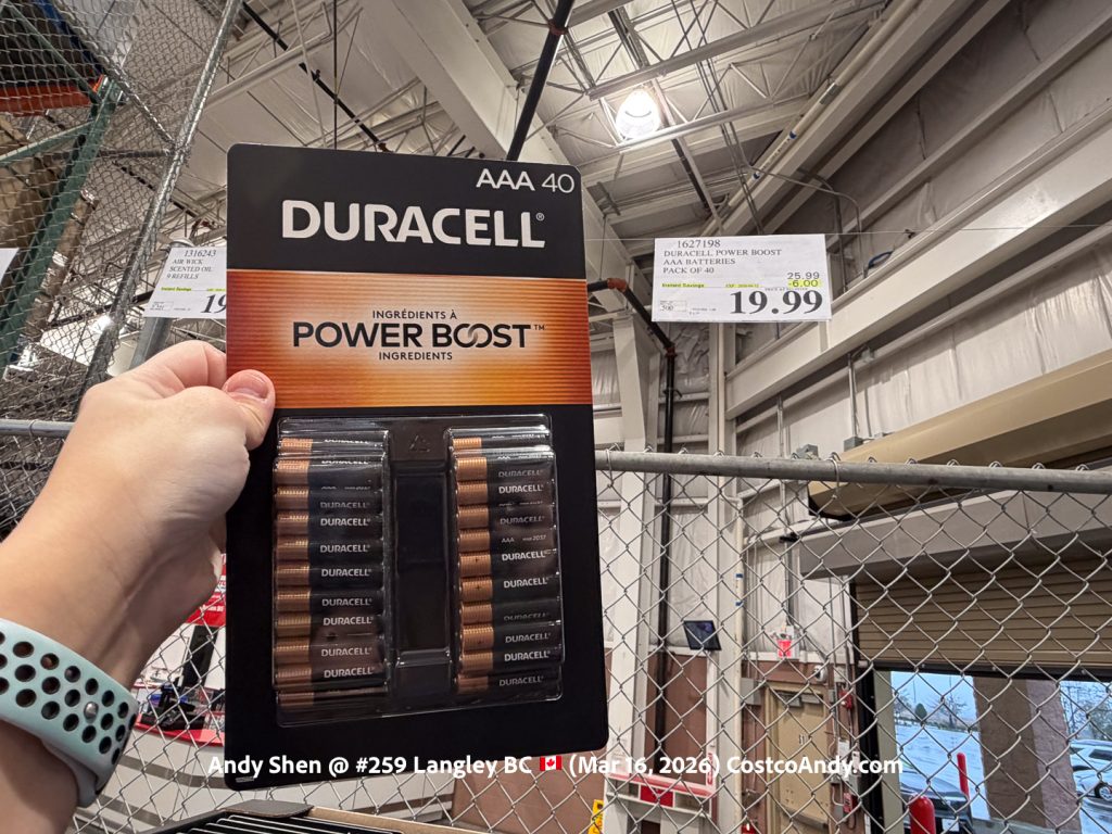 DURACELL POWER BOOST AAA BATTERIES PACK OF 40