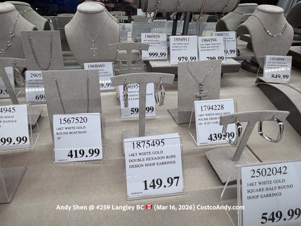 14KT WHITE GOLD DOUBLE HEXAGON ROPE DESIGN HOOP EARRINGS