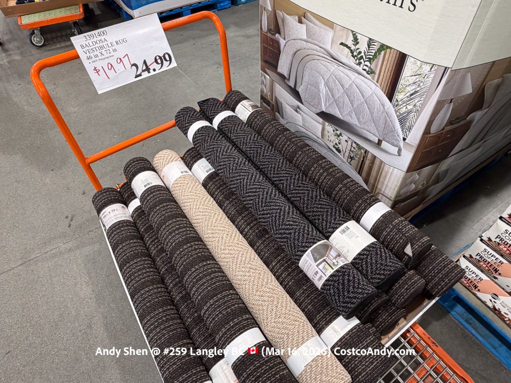 BALDOSA VESTIBULE RUG 46 IN X 72 IN