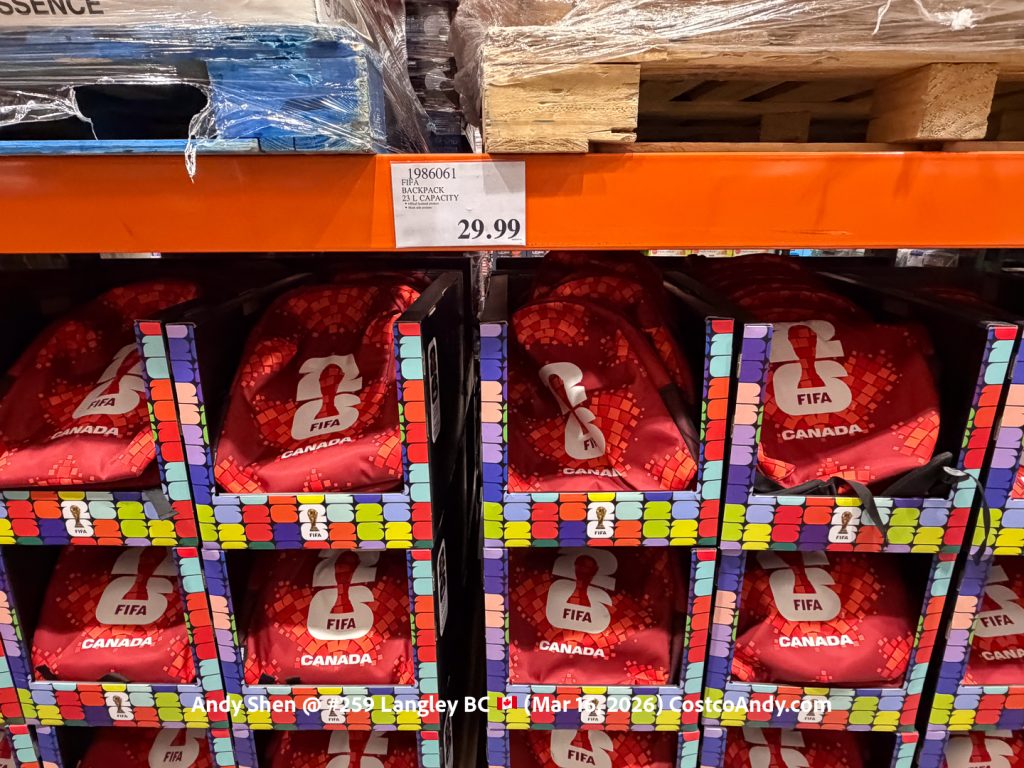 FIFA BACKPACK 23 L CAPACITY