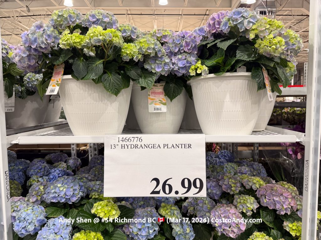 13″ HYDRANGEA PLANTER