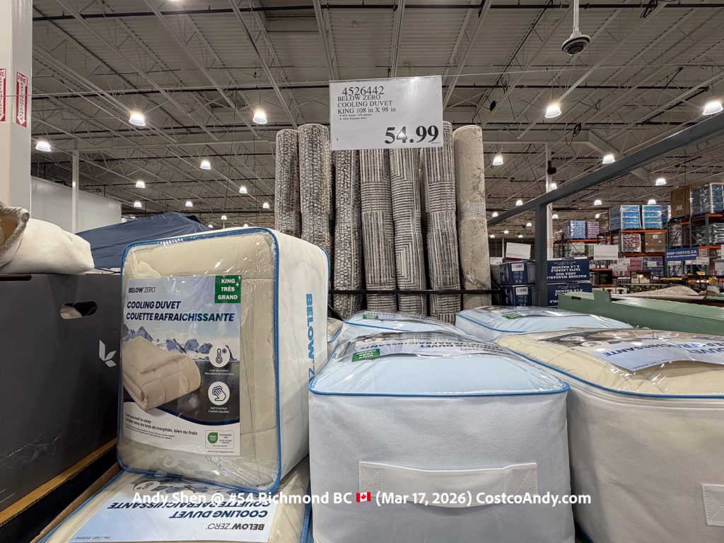 BELOW ZERO COOLING DUVET KING 108IN x 98IN