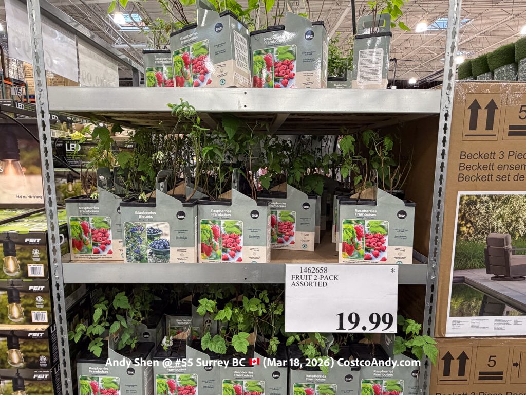 FRUIT 2-PACK ASSORTED