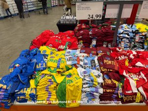 FIFA SOCCER JERSEY KIDS SIZES XS-XL