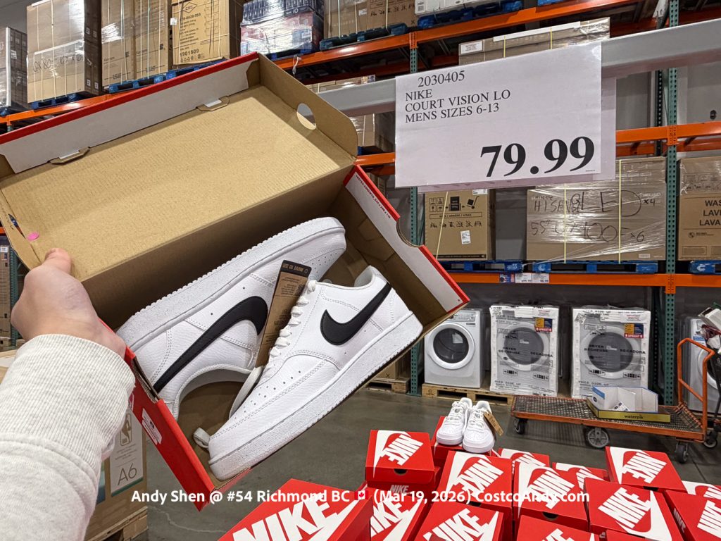 NIKE COURT VISION LO MENS SIZES 6-13