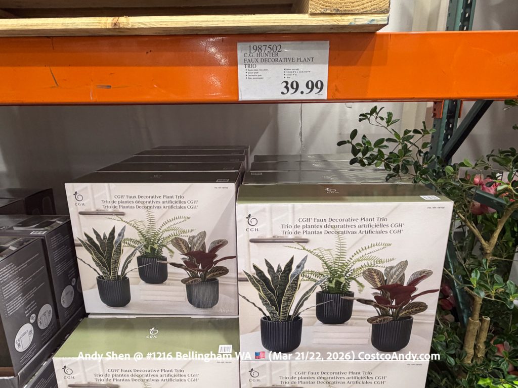 C.G. Hunter Faux Decorative Plant Trio