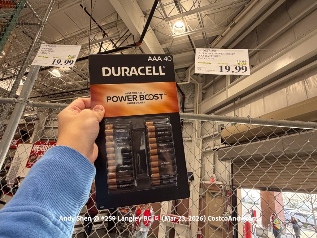 DURACELL POWER BOOST AAA BATTERIES PACK OF 40
