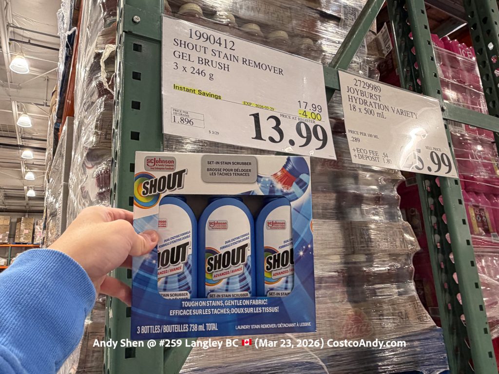 SHOUT STAIN REMOVER GEL BRUSH 3 x 246 g