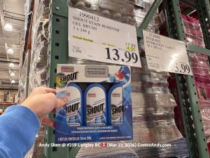 SHOUT STAIN REMOVER GEL BRUSH 3 x 246 g