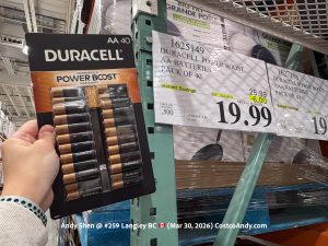 DURACELL POWER BOOST AA BATTERIES PACK OF 40