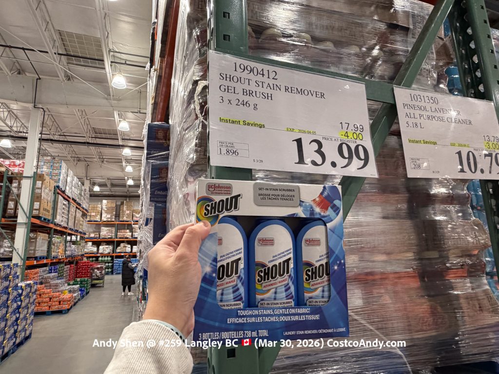 SHOUT STAIN REMOVER GEL BRUSH 3 x 246 g