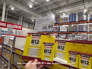 KIRKLAND SIGNATURE B12 METHYLCOBALAMIN 1200MCG 360 TABLETS