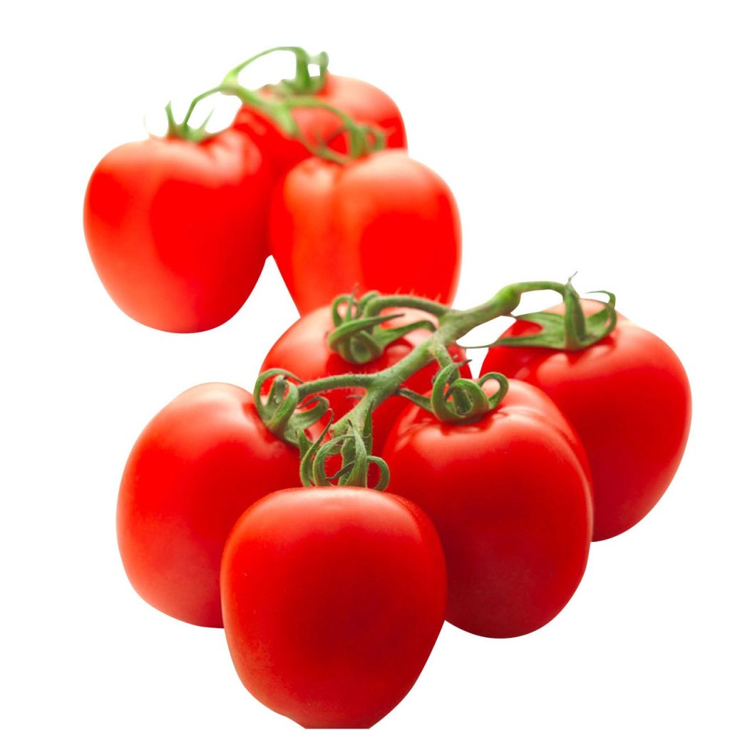 ROMA TOMATOES HOTHOUSE GROWN 3 LBS