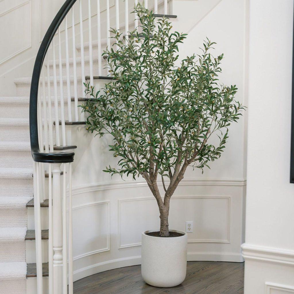 C.G. HUNTER FAUX 8′ OLIVE TREE