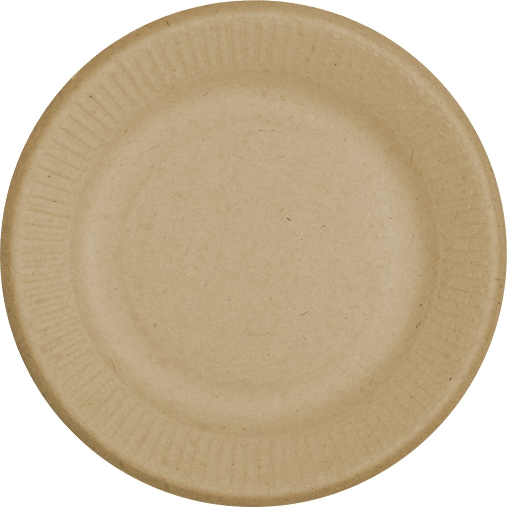 WORLD CENTRIC 6¨ PLATE COMPOSTABLE 250 CT
