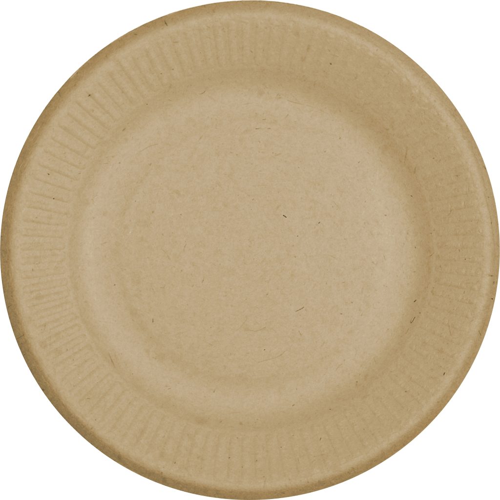 WORLD CENTRIC 9¨ PLATE COMPOSTABLE 250 CT