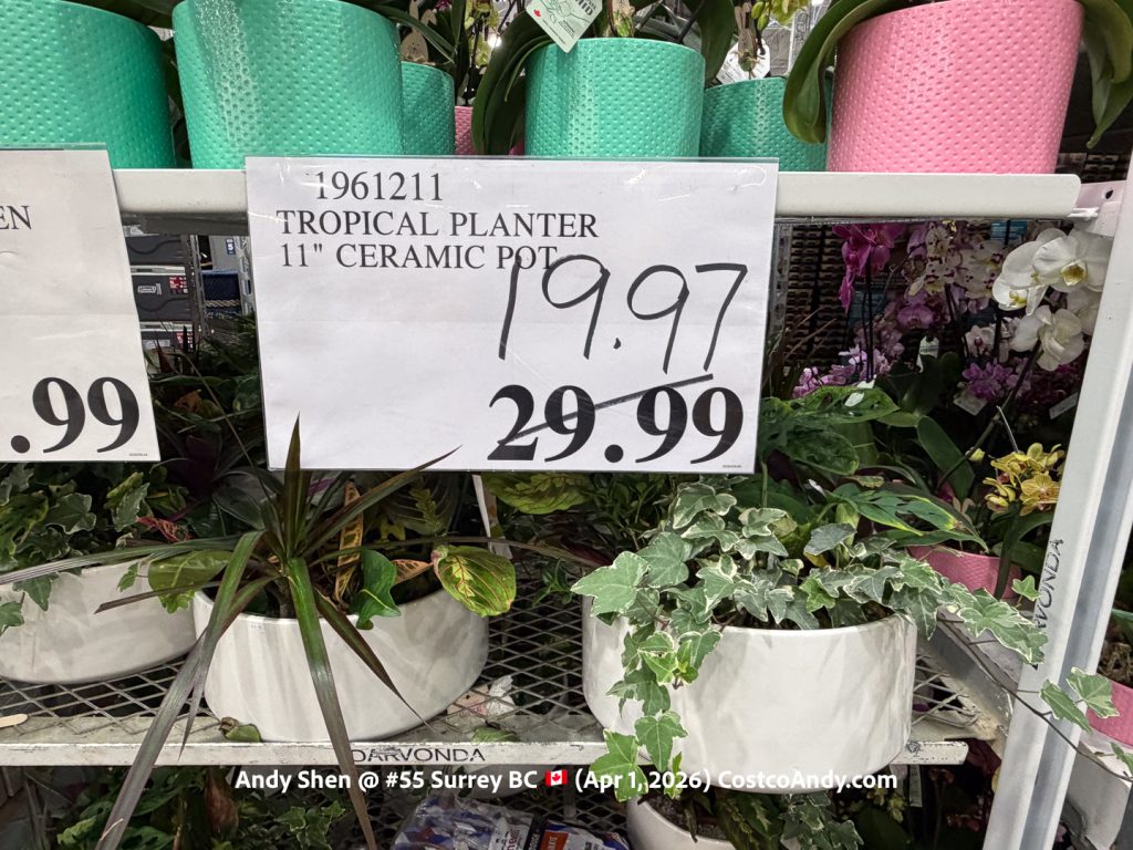 TROPICAL PLANTER 11″ CERAMIC POT