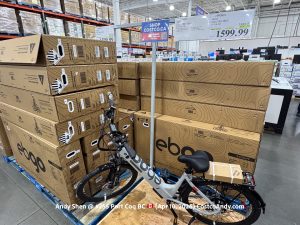 EBGO ELECTRIC BIKE E-VOLVE