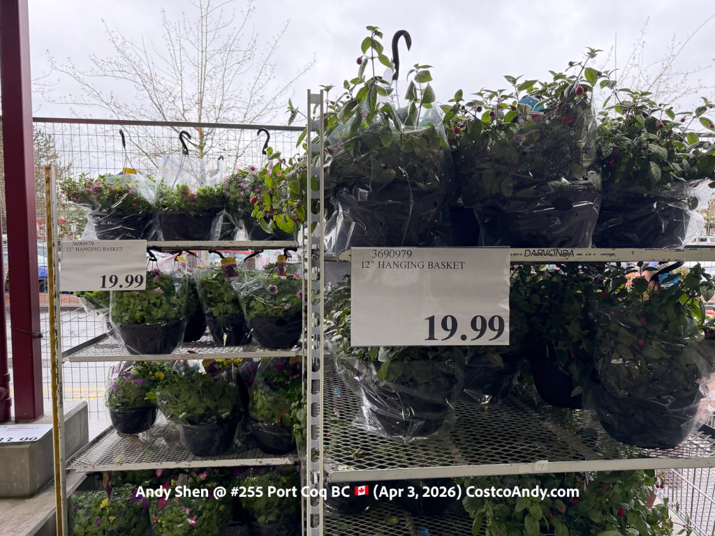 12″ HANGING BASKET