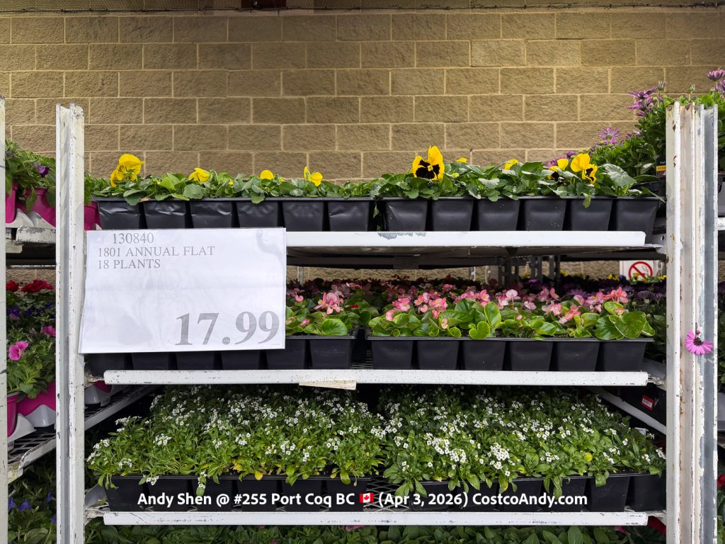 1801 ANNUAL FLAT 18 PLANTS