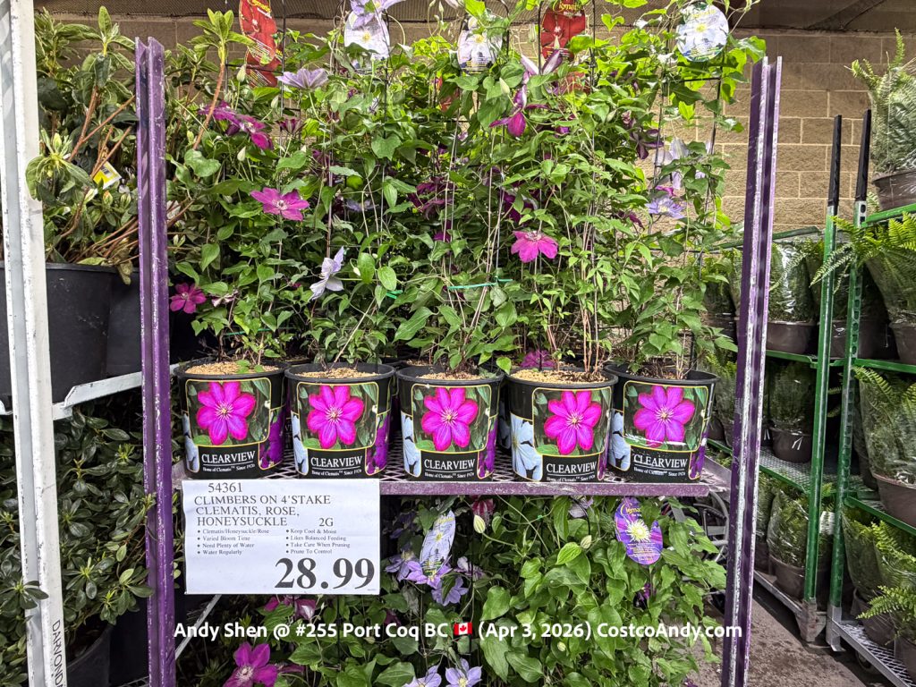 CLIMBERS ON 4′ STAKE CLEMATIS, ROSE, HONEYSUCKLE 2G