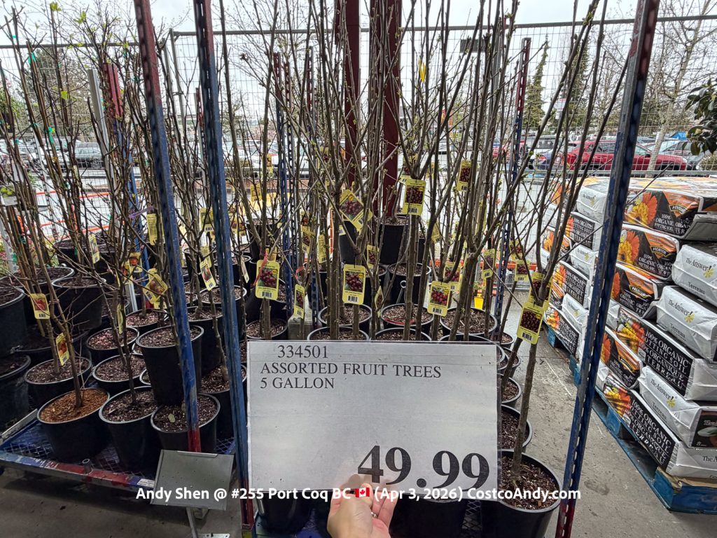 ASSORTED FRUIT TREES 5 GALLON
