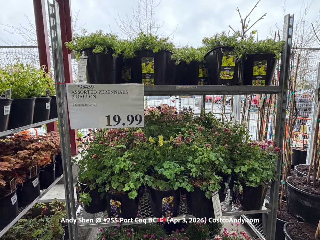 ASSORTED PERENNIALS 2 GALLON