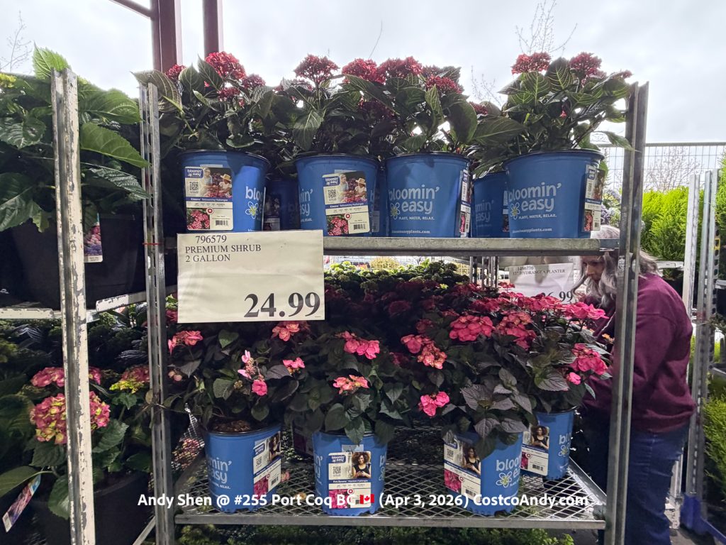 PREMIUM SHRUB 2 GALLON