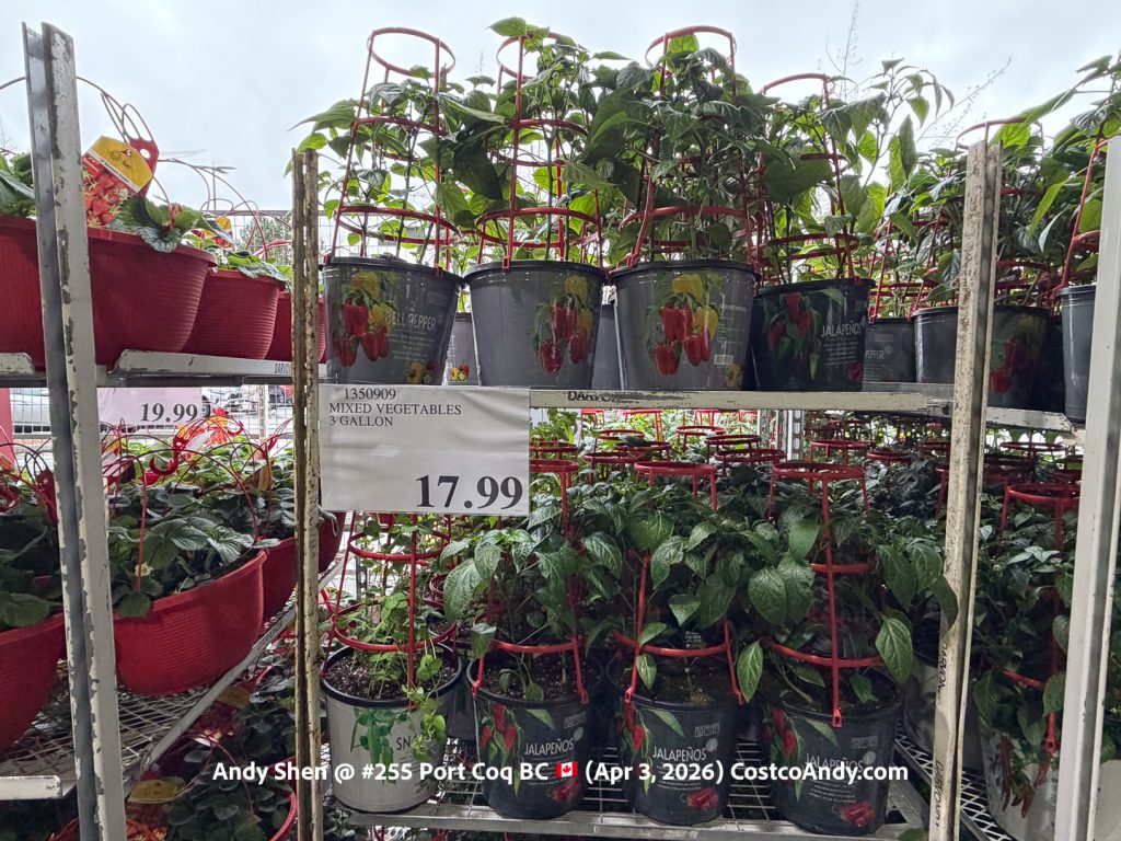 MIXED VEGETABLES 3 GALLON