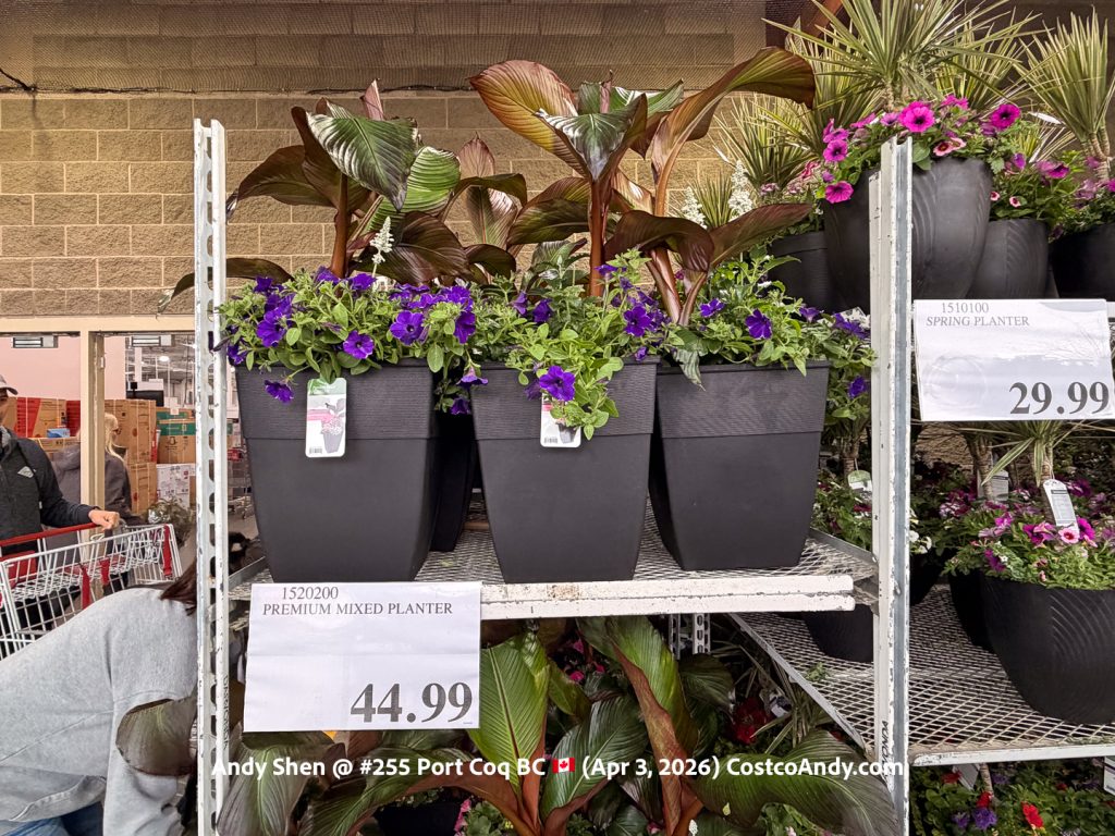 PREMIUM MIXED PLANTER