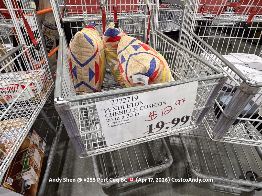 PENDLETON CHENILLE CUSHION 20 IN X 20 IN