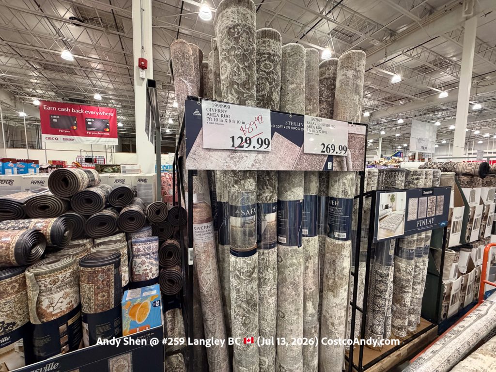 GIVERYN AREA RUG 7’10″X 9’10” IN
