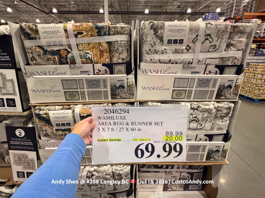 WASHLUXE AREA RUG & RUNNER SET
